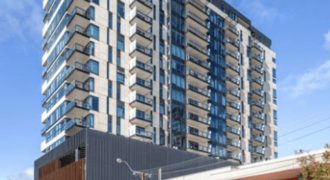 Pirie Street, Adelaide, SA 5000